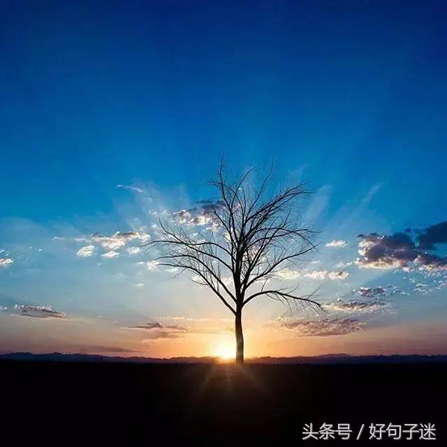 霸气伤感句子 霸气伤感句子