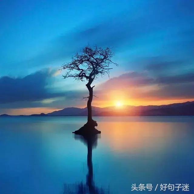 霸气伤感句子 霸气伤感句子