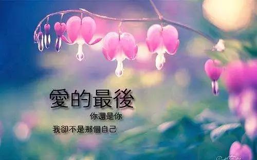 伤感的句子图片 伤感的句子图片