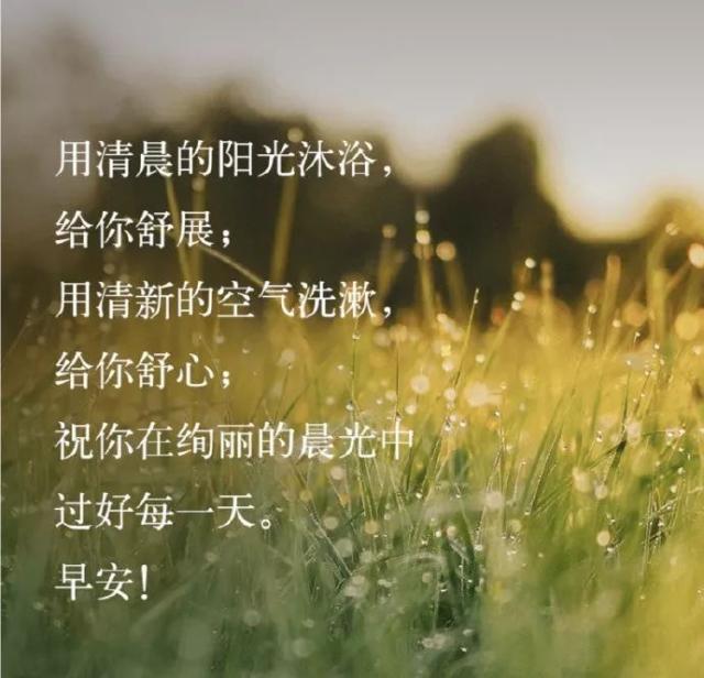 简短走心的句子_(看淡一切释然的说说)