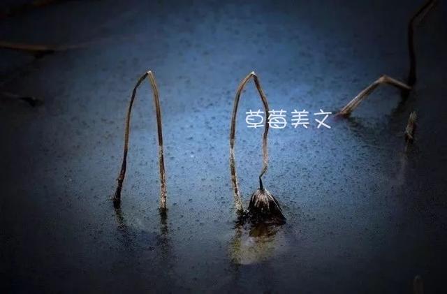 人心如锁,最怕等待和伤害,等待久了,试探多了,就会失望