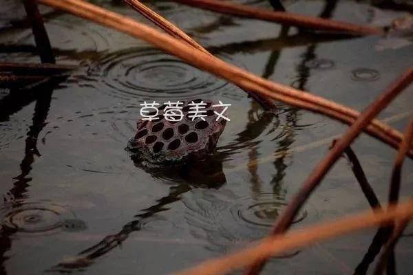 人心如锁,最怕等待和伤害,等待久了,试探多了,就会失望