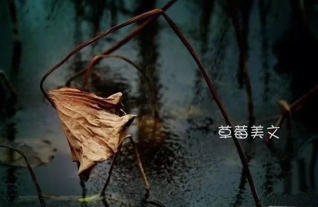 人心如锁,最怕等待和伤害,等待久了,试探多了,就会失望
