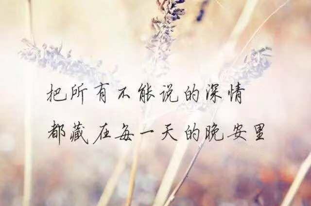 对亲人失望心寒的句子(世态炎凉人生感悟句子)