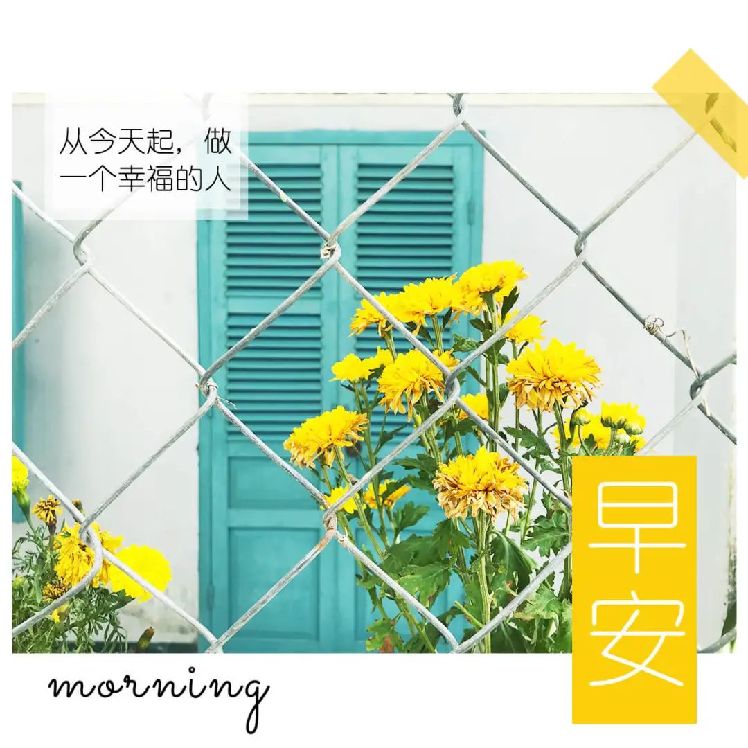 清晨的阳光唯美句子,早安经典一句话-句子橘 清晨的阳光唯美句子,早安经典一句话-句子橘