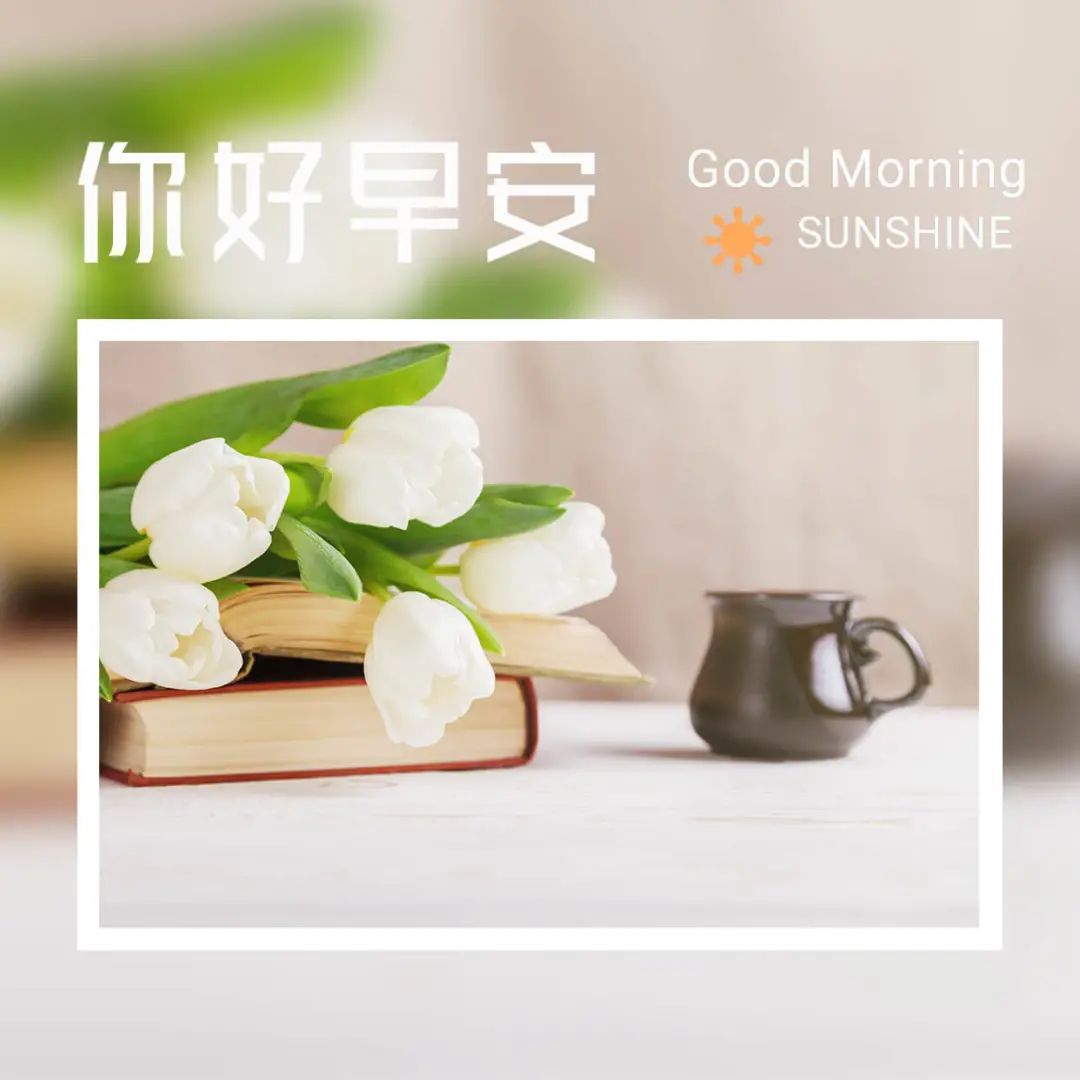 清晨的阳光唯美句子,早安经典一句话-句子橘 清晨的阳光唯美句子,早安经典一句话-句子橘