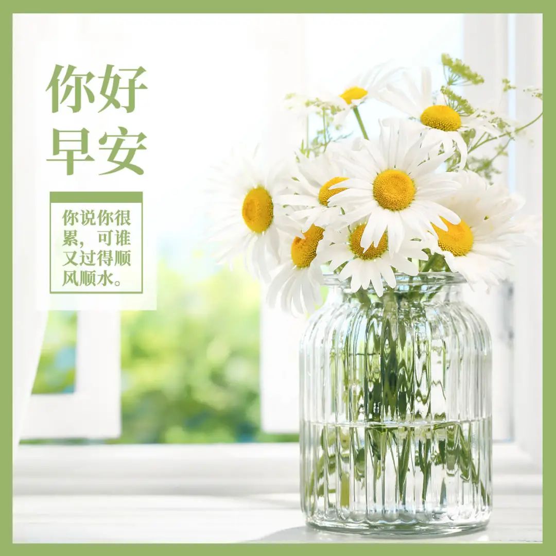 清晨的阳光唯美句子,早安经典一句话-句子橘 清晨的阳光唯美句子,早安经典一句话-句子橘