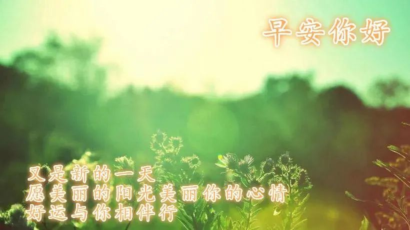 早安语录唯美句子2021早安励志说说-句子橘 早安语录唯美句子2021早安励志说说-句子橘