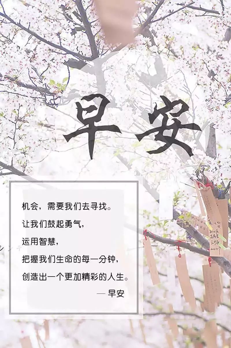 早安语录唯美句子2021早安励志说说-句子橘 早安语录唯美句子2021早安励志说说-句子橘