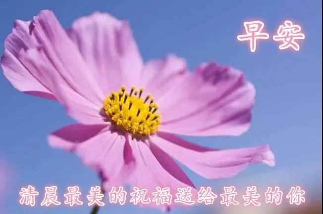 早安语录唯美句子2021早安励志说说-句子橘 早安语录唯美句子2021早安励志说说-句子橘