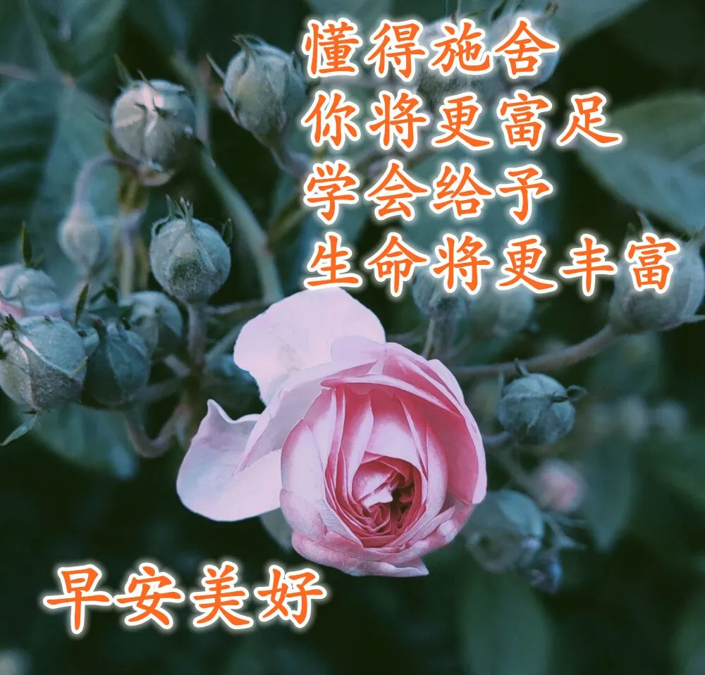 新版朋友圈早晨祝福语唯美句子,适合微信群发的早上好问候语图片大全-句子橘 新版朋友圈早晨祝福语唯美句子,适合微信群发的早上好问候语图片大全-句子橘