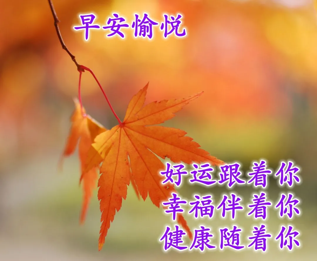 新版朋友圈早晨祝福语唯美句子,适合微信群发的早上好问候语图片大全-句子橘 新版朋友圈早晨祝福语唯美句子,适合微信群发的早上好问候语图片大全-句子橘