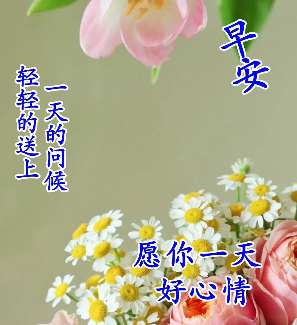 新版朋友圈早晨祝福语唯美句子,适合微信群发的早上好问候语图片大全-句子橘 新版朋友圈早晨祝福语唯美句子,适合微信群发的早上好问候语图片大全-句子橘
