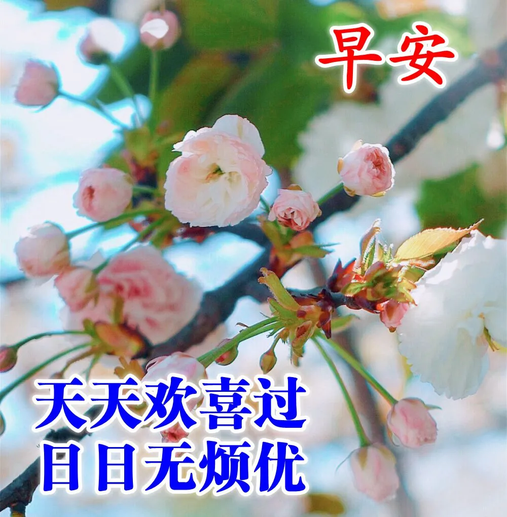 新版朋友圈早晨祝福语唯美句子,适合微信群发的早上好问候语图片大全-句子橘 新版朋友圈早晨祝福语唯美句子,适合微信群发的早上好问候语图片大全-句子橘