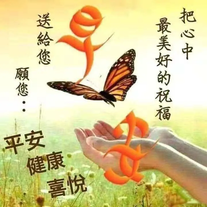 新版朋友圈早晨祝福语唯美句子,适合微信群发的早上好问候语图片大全-句子橘 新版朋友圈早晨祝福语唯美句子,适合微信群发的早上好问候语图片大全-句子橘