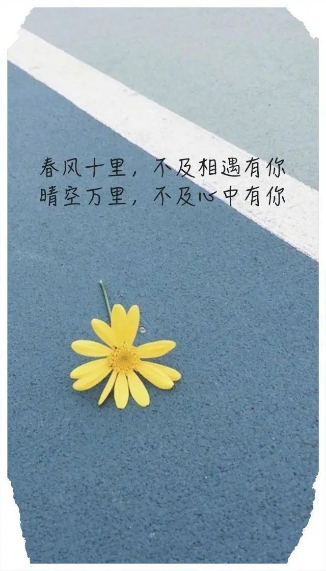 唯美浪漫的爱情句子，句句暖心文艺范，美到窒息！-句子橘