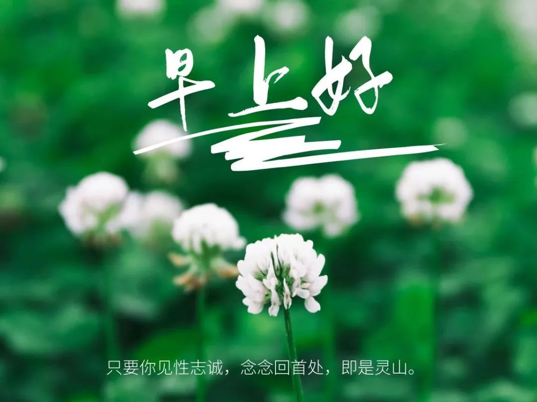 清晨的阳光唯美句子,早安经典一句话-句子橘 清晨的阳光唯美句子,早安经典一句话-句子橘