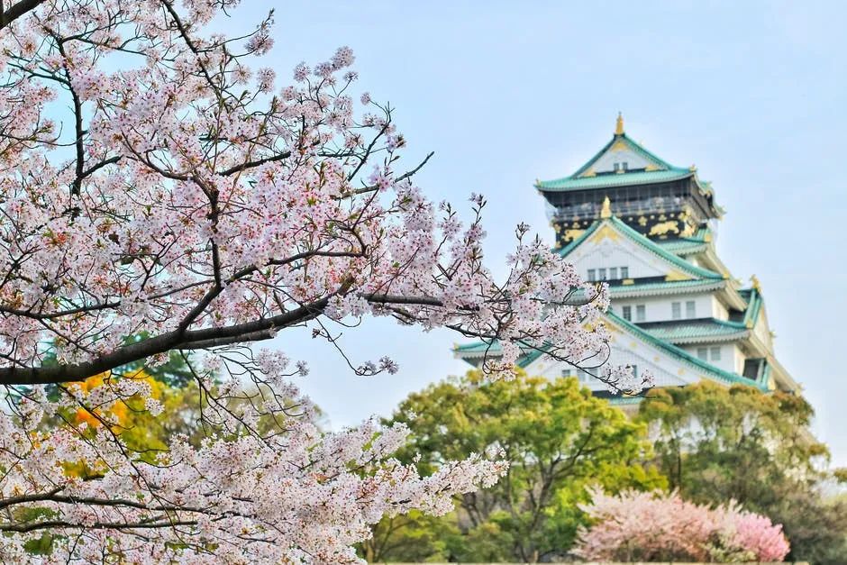 关于曾经的唯美句子100条-句子橘 关于曾经的唯美句子100条-句子橘