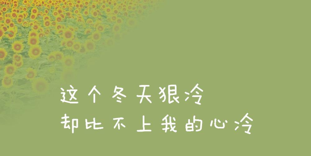 对领导失望的句子(对领导失望委婉的句子)