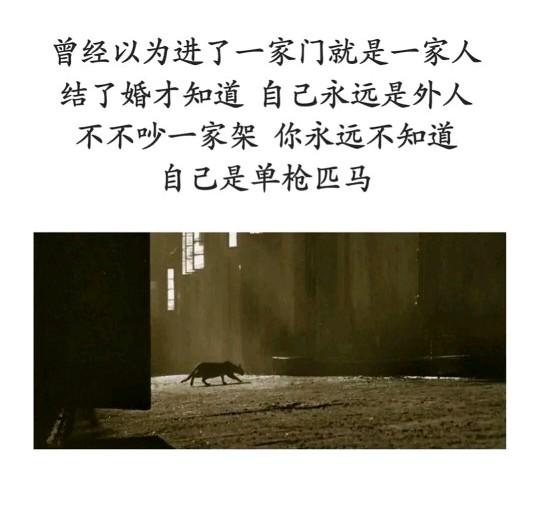 对婆家失望透顶的句子