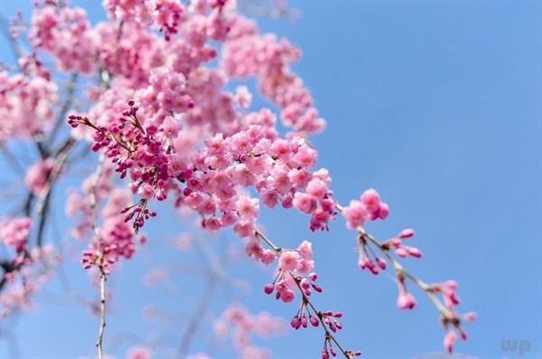 伤感说说伤感句子 伤感说说伤感句子