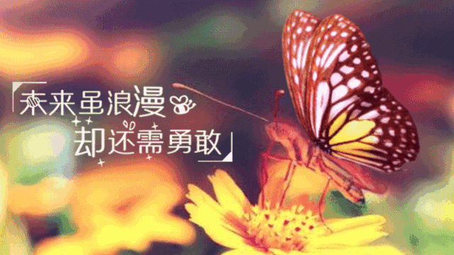 伤感的句子朋友圈 伤感的句子朋友圈