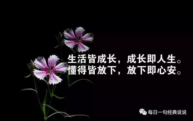 伤感的句子朋友圈 伤感的句子朋友圈
