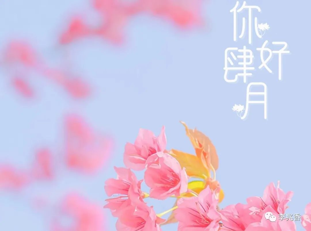 四月你好的唯美句子,简短脱俗,你会选哪一句发朋友圈?-句子橘 四月你好的唯美句子,简短脱俗,你会选哪一句发朋友圈?-句子橘