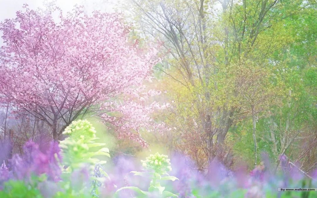 看完这50个唯美句子,你会彻底爱上英文!-句子橘 看完这50个唯美句子,你会彻底爱上英文!-句子橘