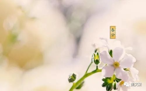 春分的唯美句子-句子橘 春分的唯美句子-句子橘