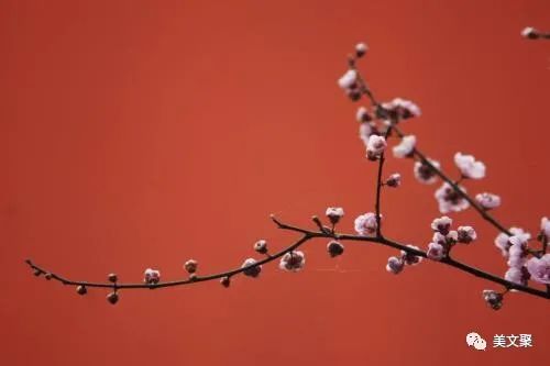 春分的唯美句子-句子橘 春分的唯美句子-句子橘