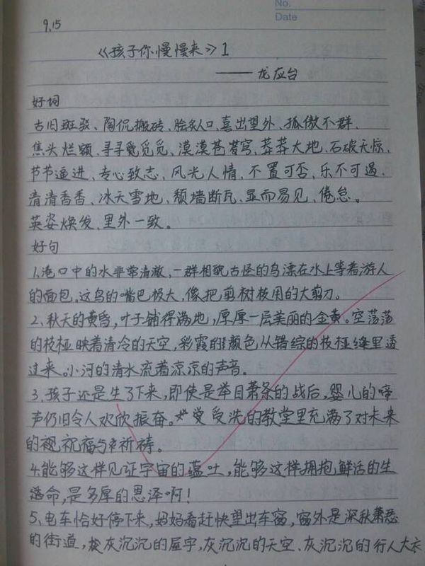 各种好句子的摘抄_(好词好句小学生)