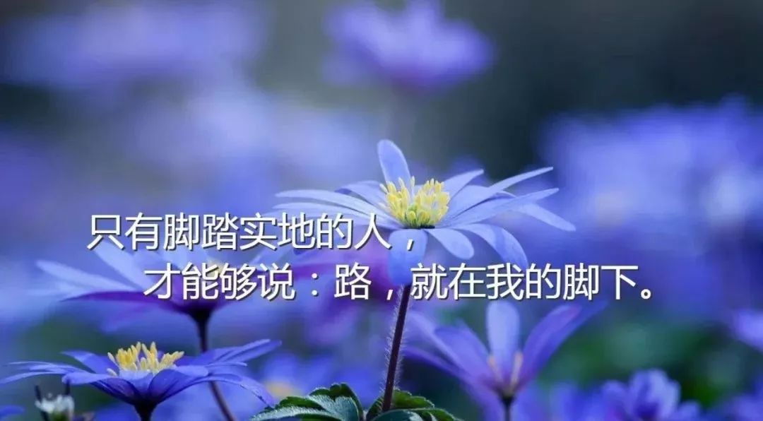 早安心语唯美句子,2021正能量励志语录-句子橘 早安心语唯美句子,2021正能量励志语录-句子橘