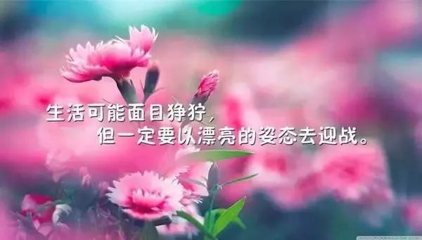 早安心语唯美句子,2021正能量励志语录-句子橘 早安心语唯美句子,2021正能量励志语录-句子橘