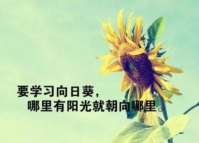 早安心语唯美句子,2021正能量励志语录-句子橘 早安心语唯美句子,2021正能量励志语录-句子橘