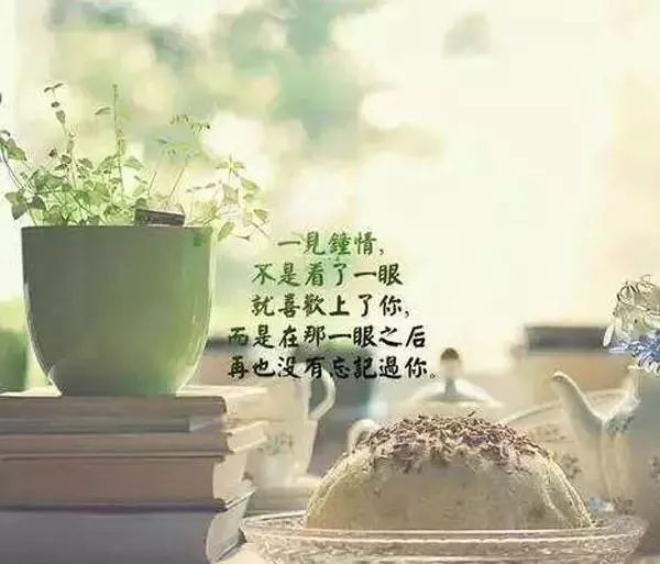 早安心语唯美句子,2021正能量励志语录-句子橘 早安心语唯美句子,2021正能量励志语录-句子橘