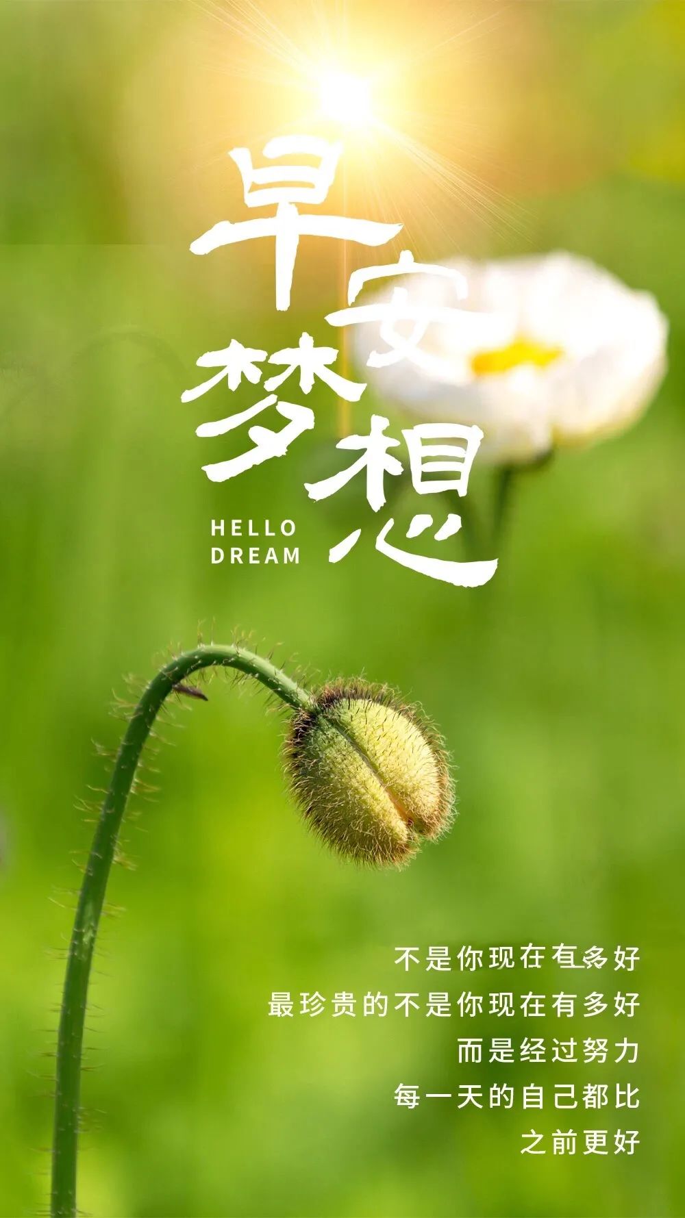 早安心语唯美句子,2021正能量励志语录-句子橘 早安心语唯美句子,2021正能量励志语录-句子橘