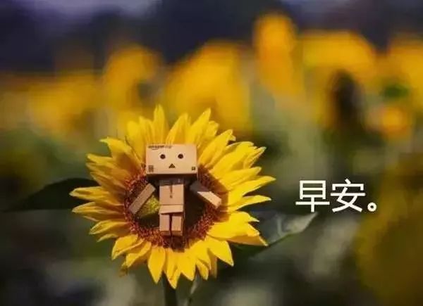 早安心语唯美句子,2021正能量励志语录-句子橘 早安心语唯美句子,2021正能量励志语录-句子橘