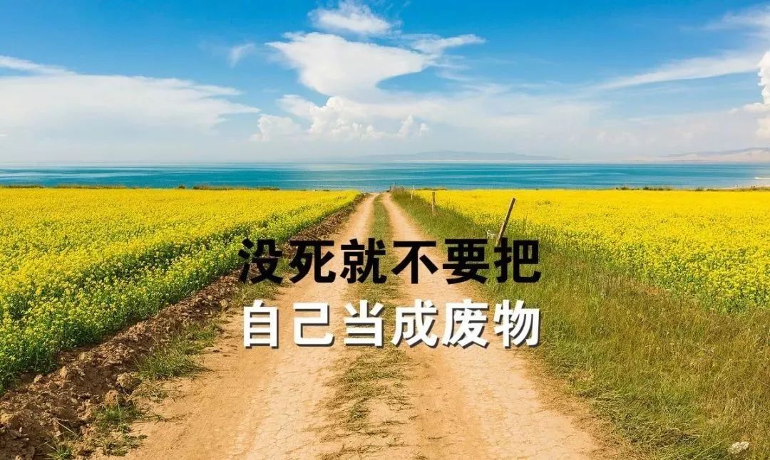 早安心语唯美句子,2021正能量励志语录-句子橘 早安心语唯美句子,2021正能量励志语录-句子橘