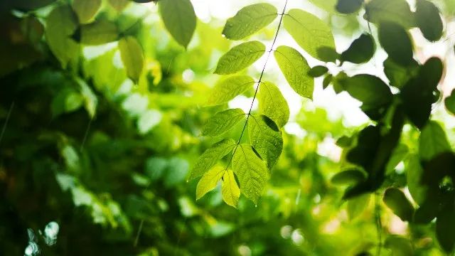 悲伤的句子:令人伤心流泪的句子,字字失望入骨,总有一句话戳痛你的心-句子橘 悲伤的句子:令人伤心流泪的句子,字字失望入骨,总有一句话戳痛你的心-句子橘