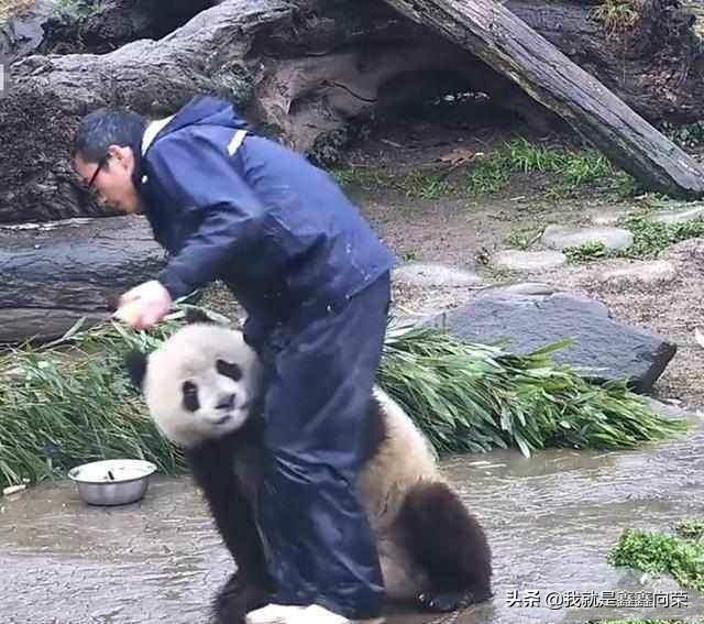 给所有分手后想要挽回射手男的姑娘们提几个醒