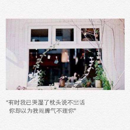 挽留同事的经典句子(关于挽留爱情的句子)