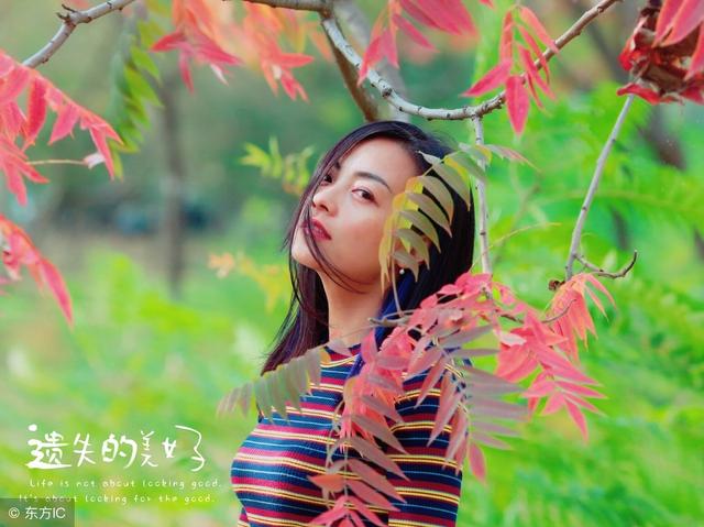 秋天伤感句子语录 秋天伤感句子语录