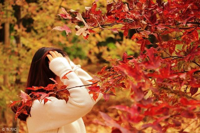 秋天伤感句子语录 秋天伤感句子语录