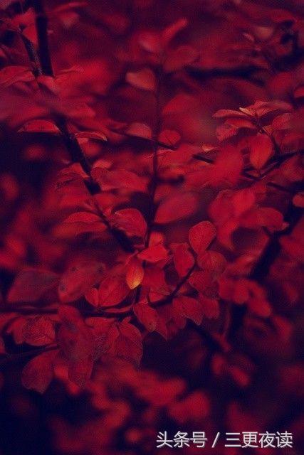 无法挽留的句子 无法挽留的句子