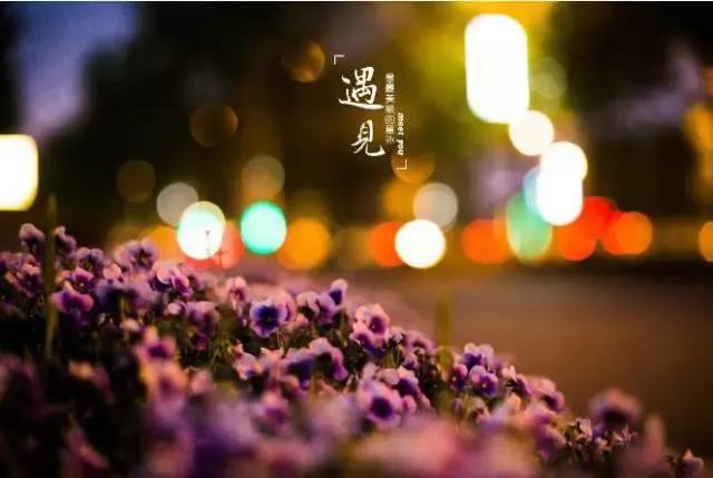 伤感的句子带图片 伤感的句子带图片