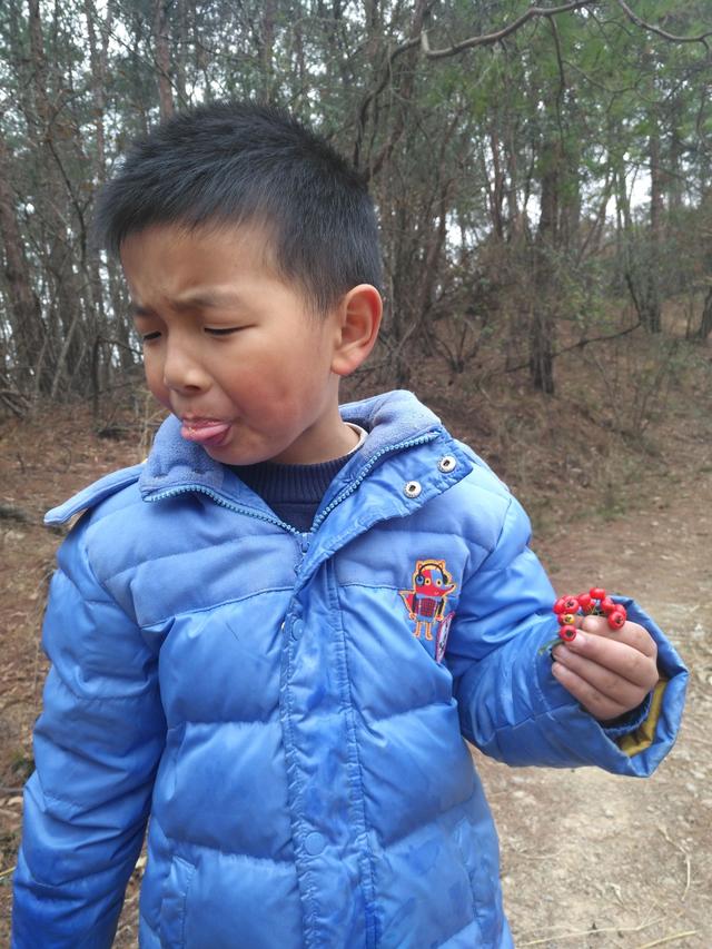 最全句子成分：主谓宾定状补