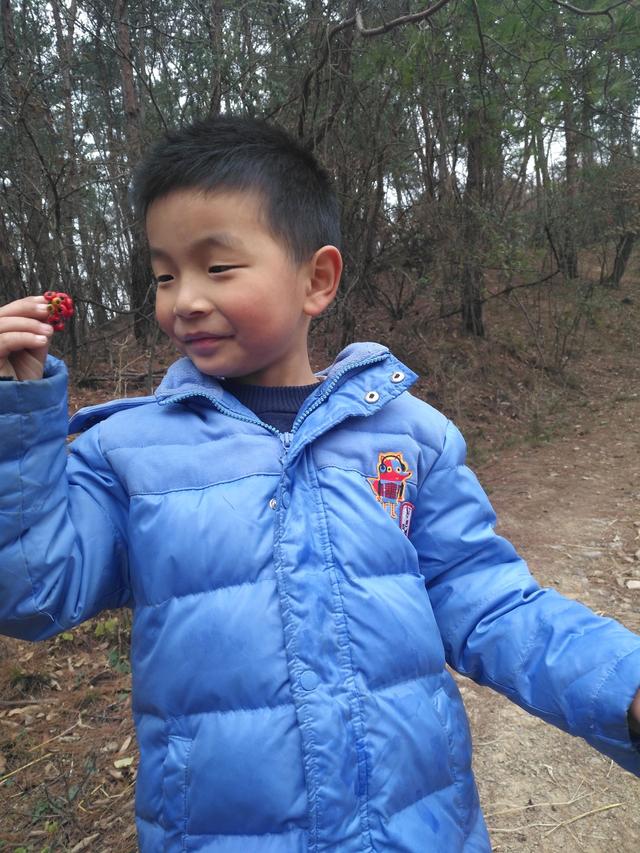 最全句子成分：主谓宾定状补