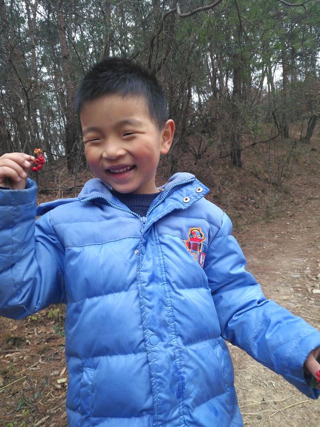 最全句子成分：主谓宾定状补