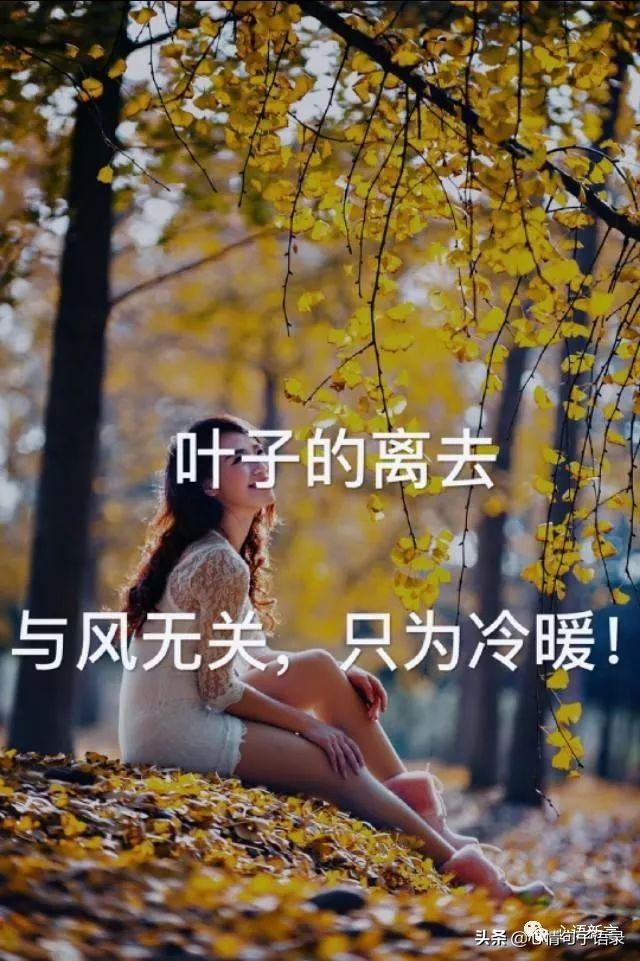 鍙跺瓙鐨勭鍘伙紝鏄鐨勮拷姹傦紝杩樻槸鏍戠殑涓嶆尳鐣欙紒锛堢瓟妗堝緢娈嬮叿)